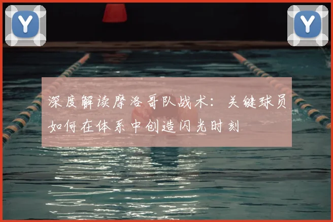 深度解读摩洛哥队战术：关键球员如何在体系中创造闪光时刻